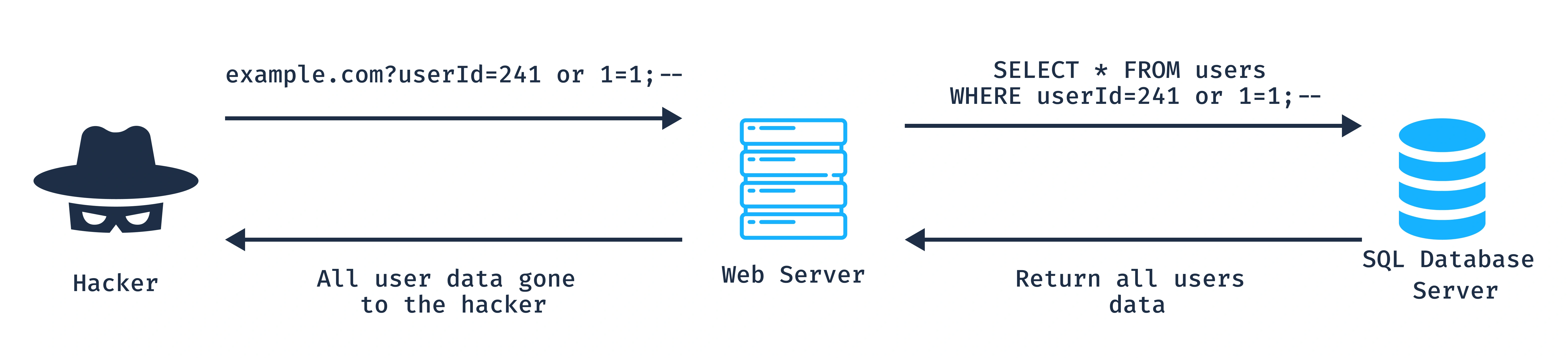 sql-injection-ea821667b.webp